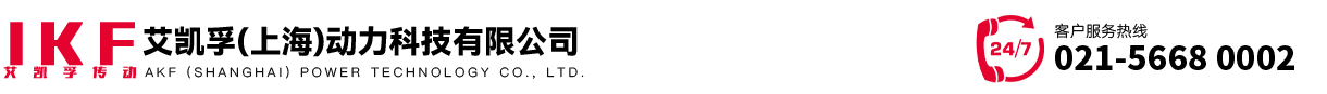 艾凯孚（上海）动力科技有限公司